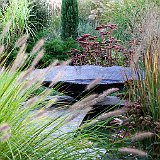 vasque au jardin contemporain